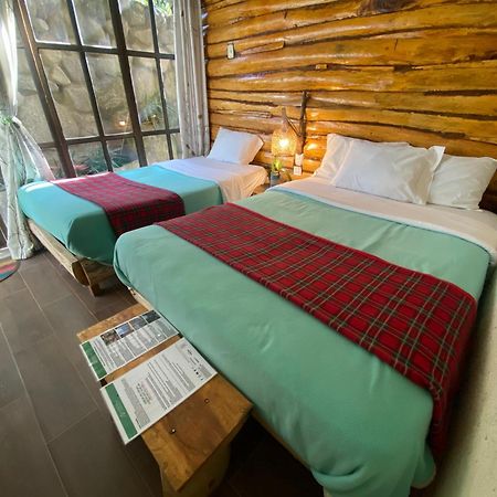 Eco Quechua Lodge Santa Teresa  Kültér fotó