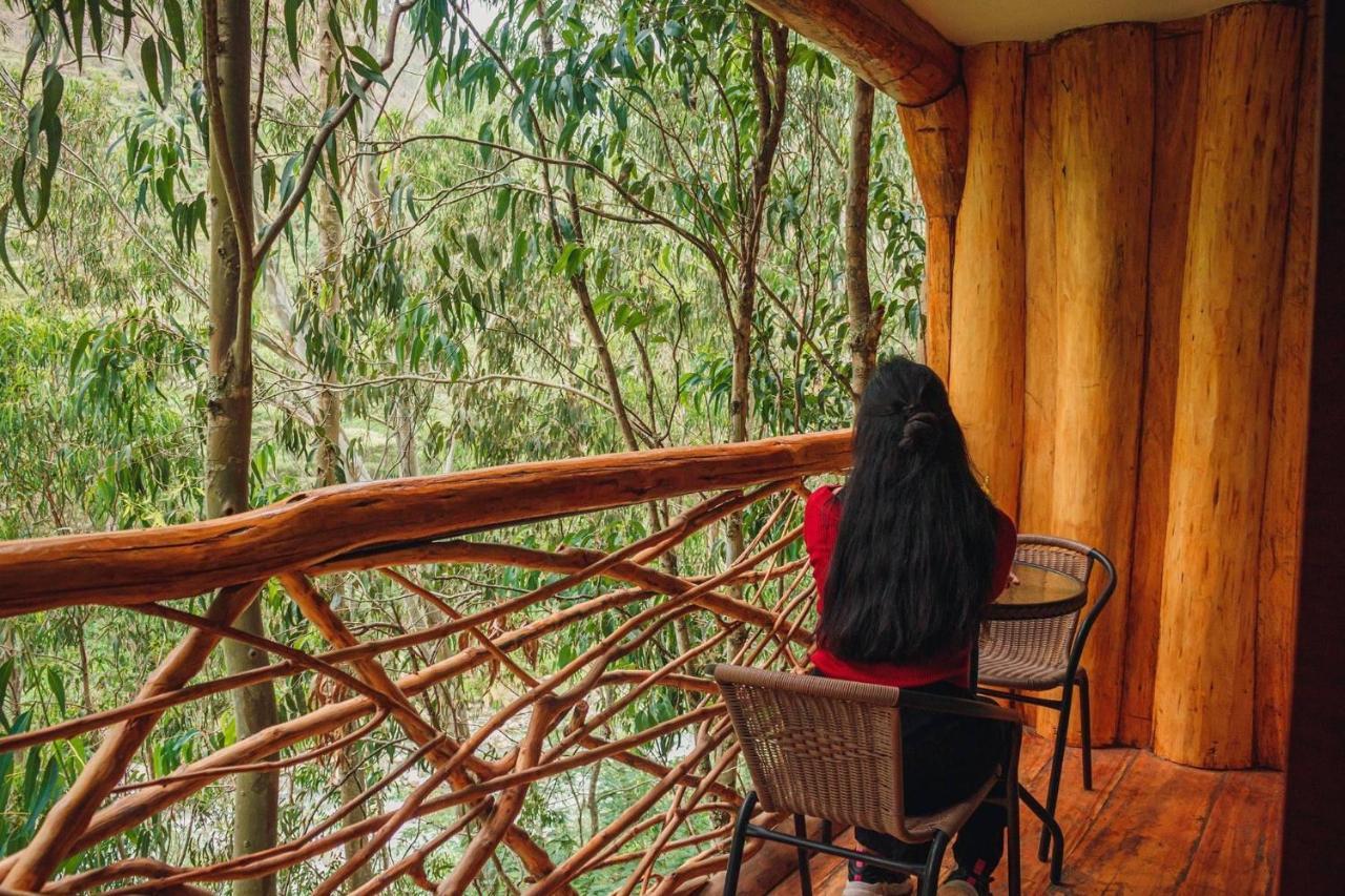 Eco Quechua Lodge Santa Teresa  Kültér fotó